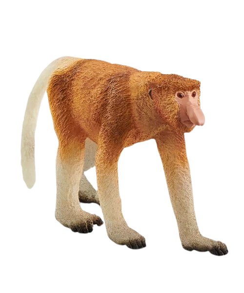 Imagem do produto 1